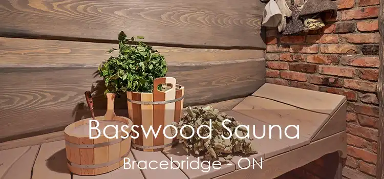  Basswood Sauna Bracebridge - ON