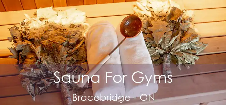  Sauna For Gyms Bracebridge - ON
